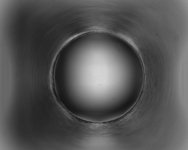 X0000088461056200705291527