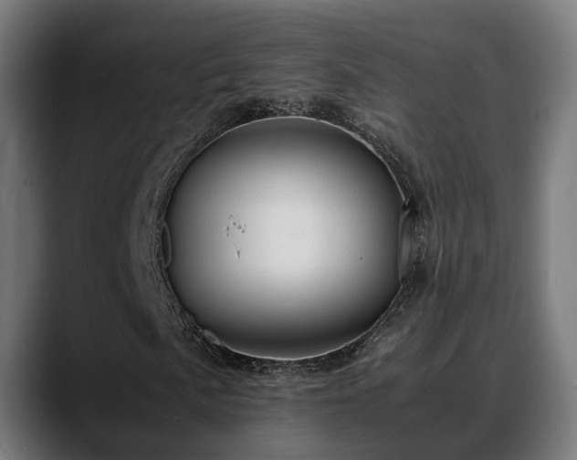 X0000088461057200705291526