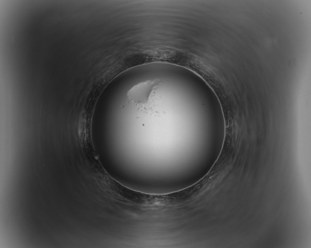 X0000088461058200705291526