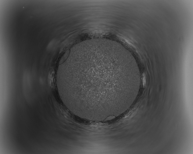 X0000088461059200705291526