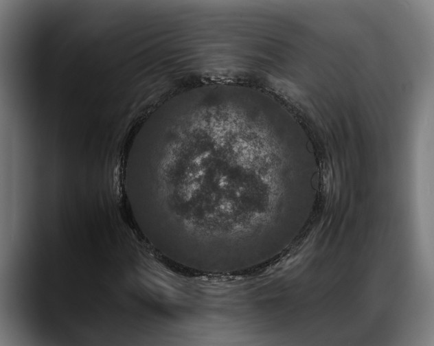 X0000088461060200705291526