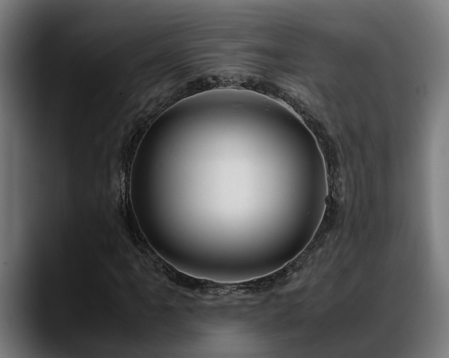 X0000088461061200705291526