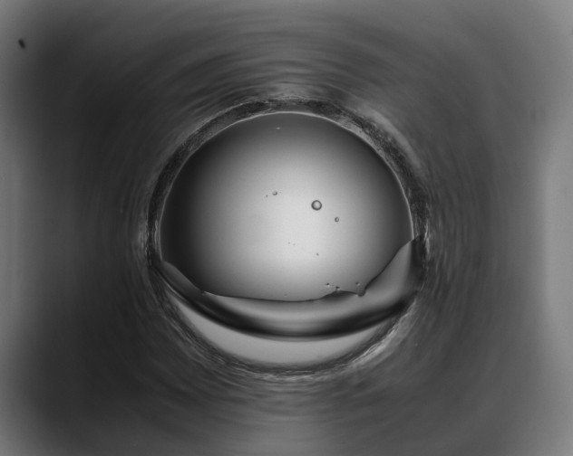 X0000088461065200705291526