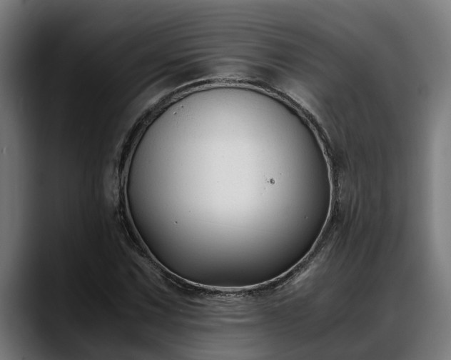 X0000088461067200705291526