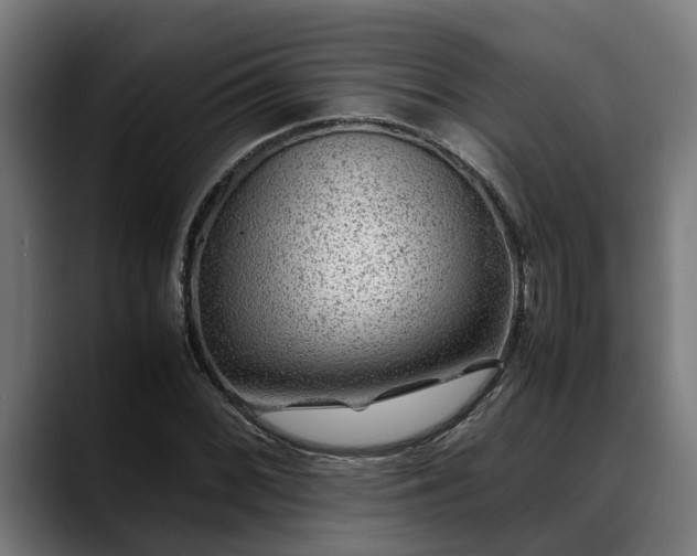 X0000088461068200705291526