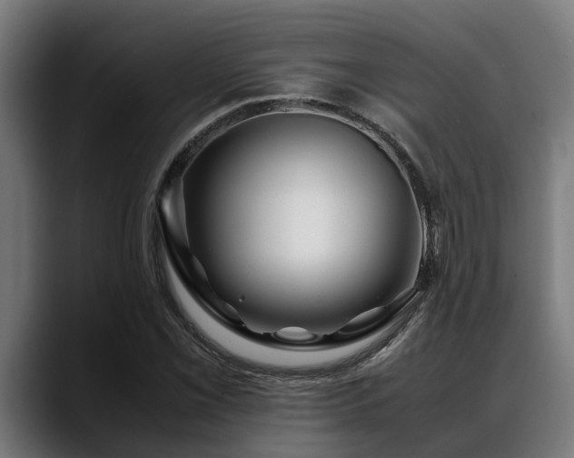 X0000088461069200705291526