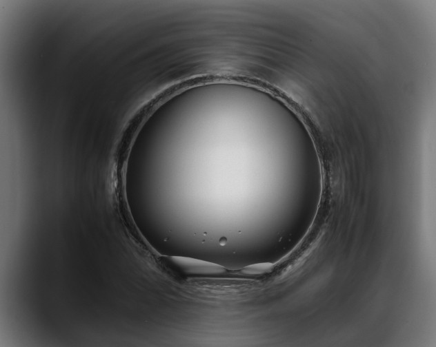 X0000088461070200705291526