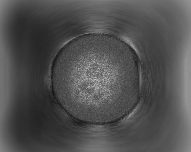 X0000088461071200705291526