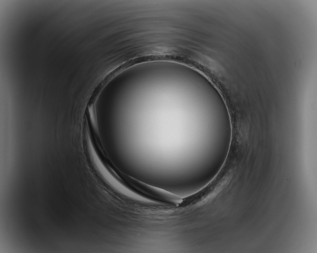 X0000088461073200705291526