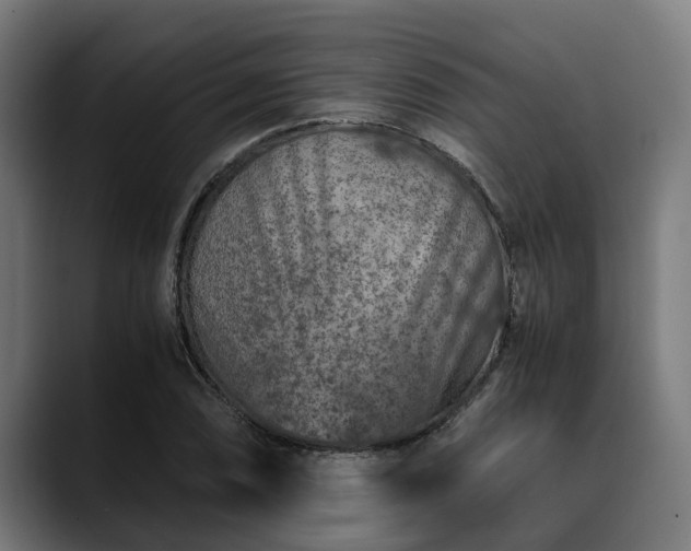 X0000088461074200705291526