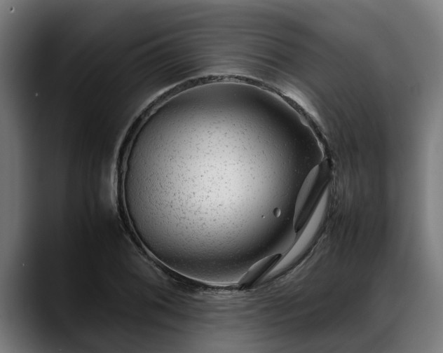 X0000088461076200705291526