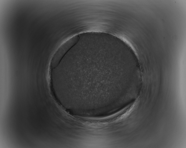 X0000088461077200705291526