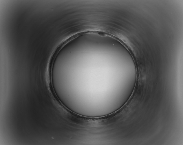 X0000088461080200705291526