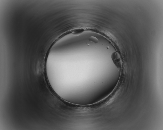 X0000088461081200705291526