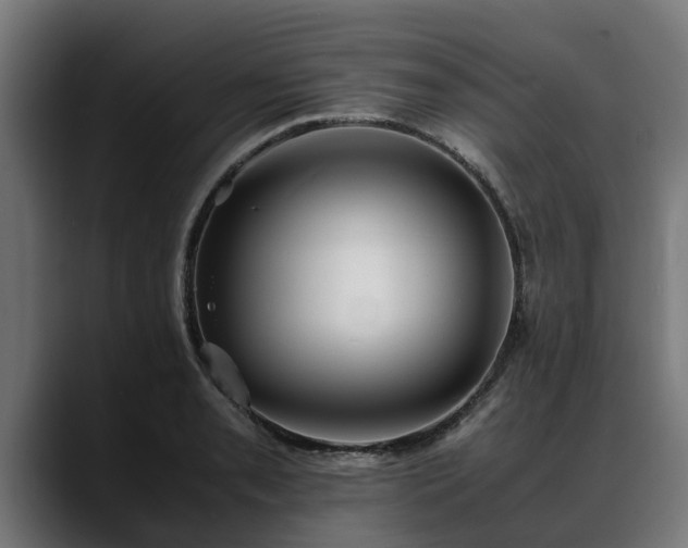 X0000088461085200705291526