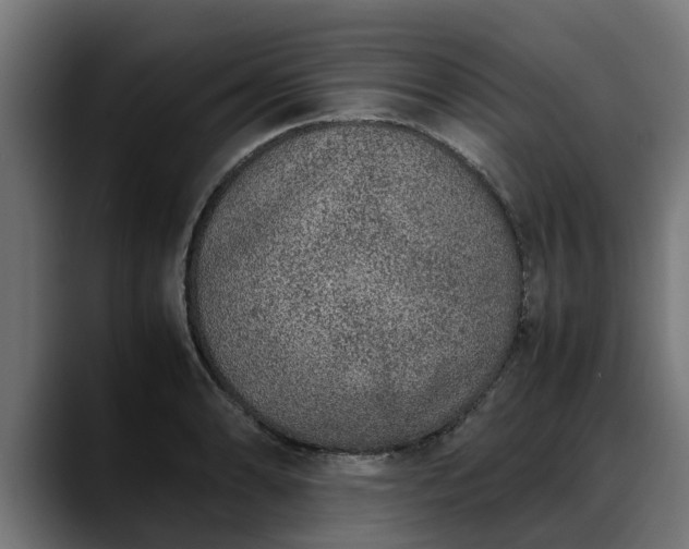 X0000088461086200705291526