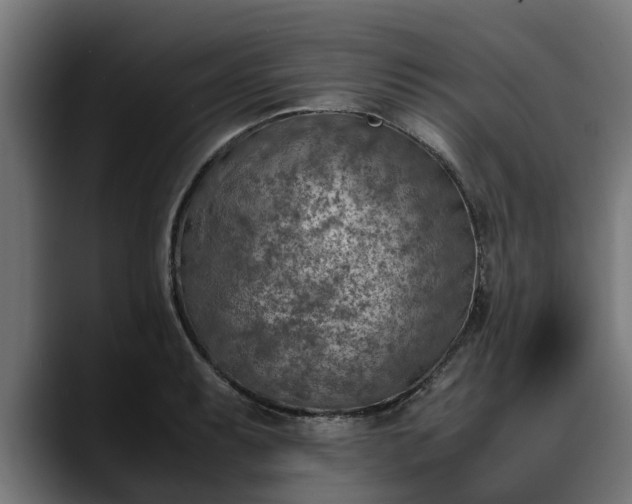 X0000088461087200705291526