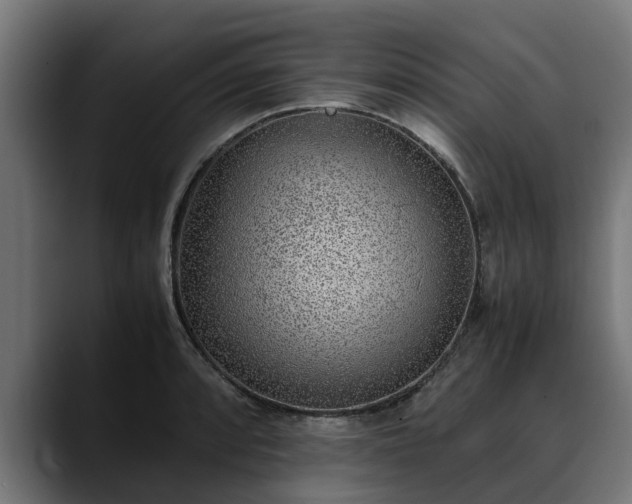 X0000088461088200705291526