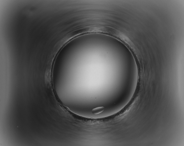 X0000088461089200705291526