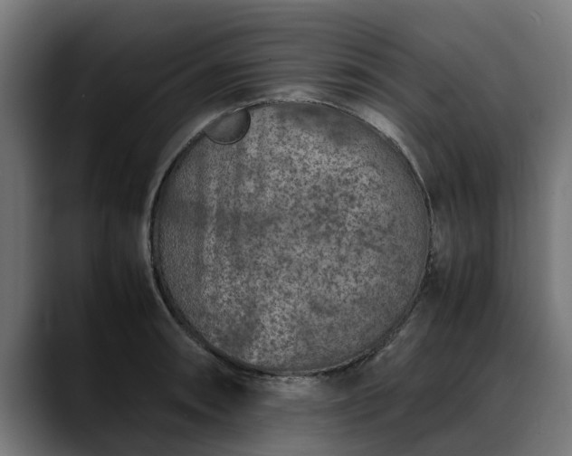 X0000088461090200705291526