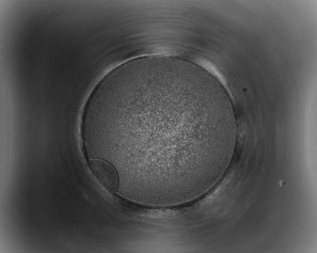 X0000088461091200705291526