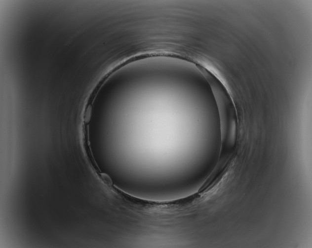 X0000088461093200705291526