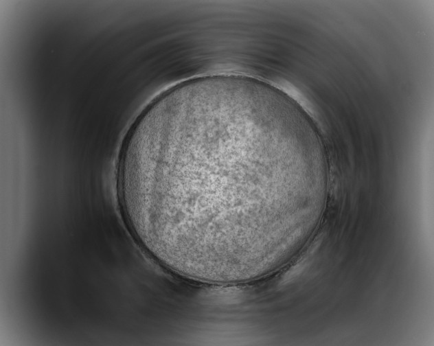 X0000088461094200705291526