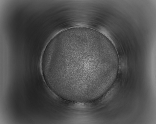 X0000088461098200705291526