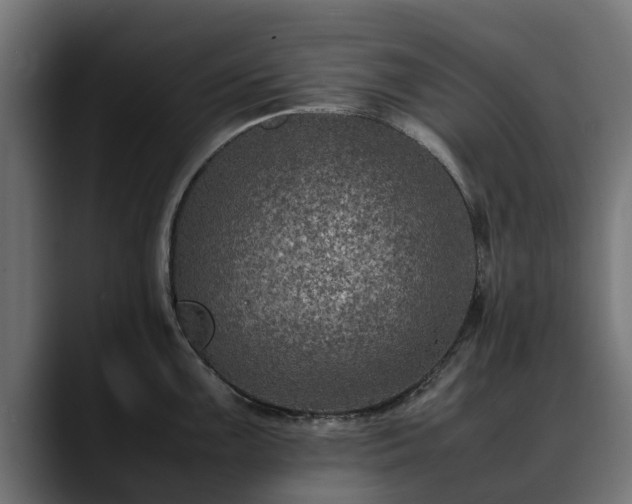 X0000088461099200705291526