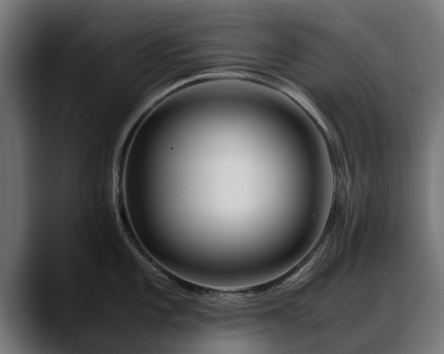 X0000088461101200705291526