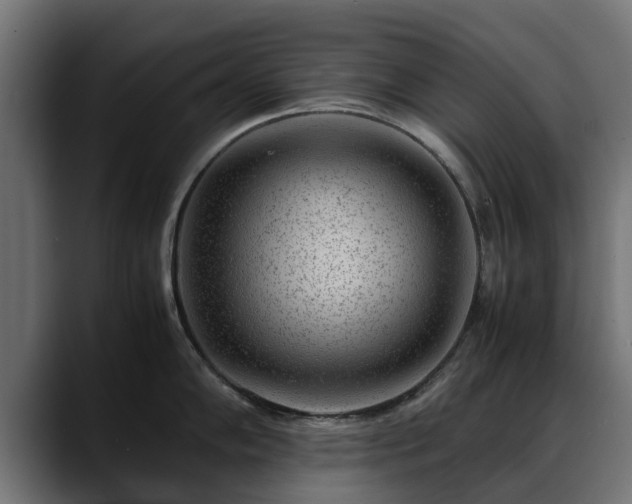 X0000088461102200705291526