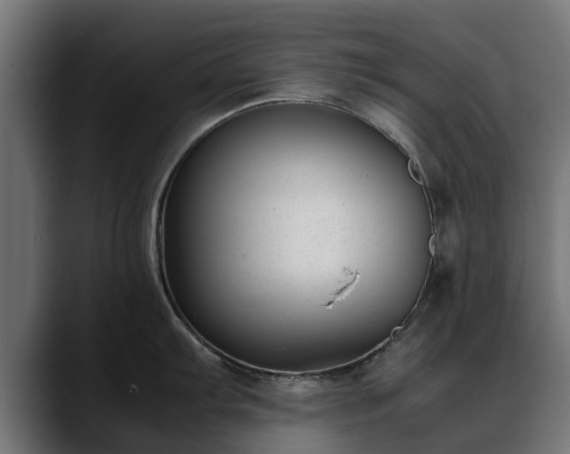 X0000088461103200705291526