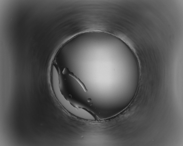 X0000088461104200705291526