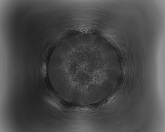 X0000088461106200705291525