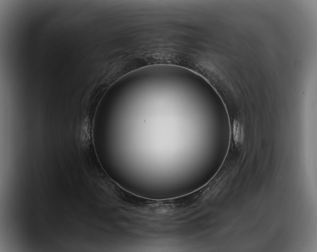 X0000088461107200705291525