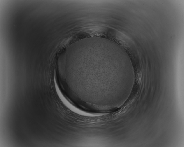 X0000088461108200705291525