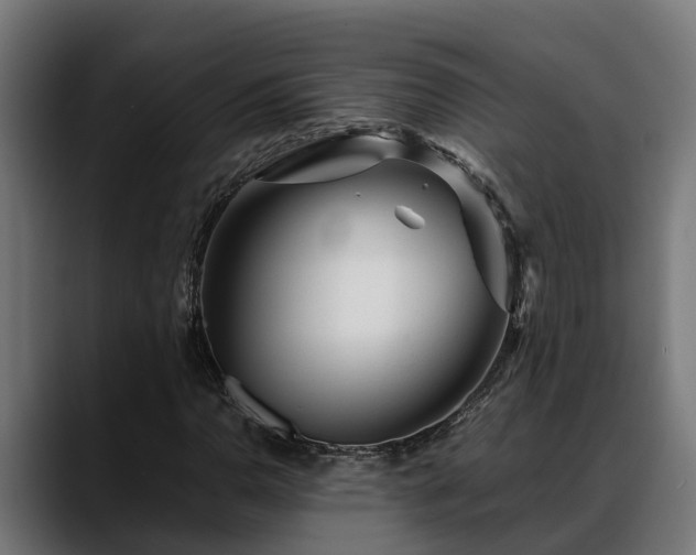 X0000088461110200705291525