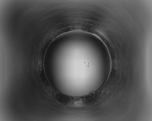 X0000088461111200705291525