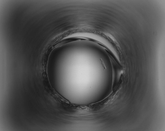 X0000088461112200705291525