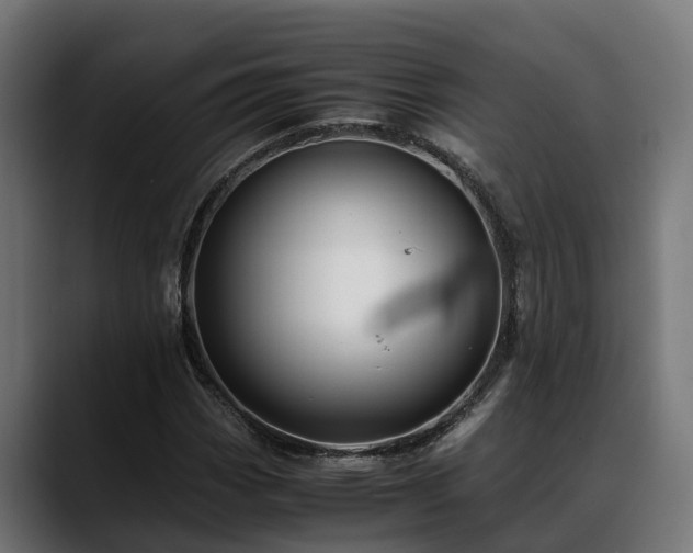 X0000088461113200705291525