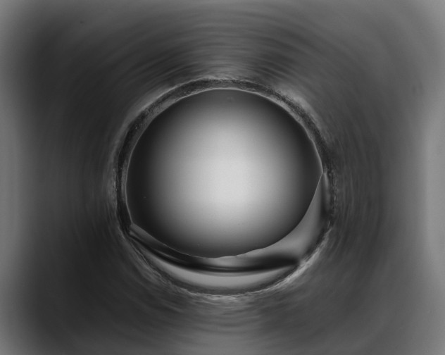 X0000088461114200705291525