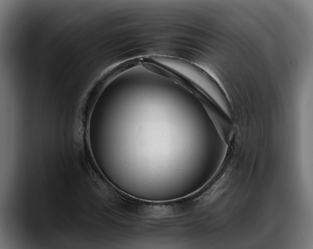 X0000088461115200705291525