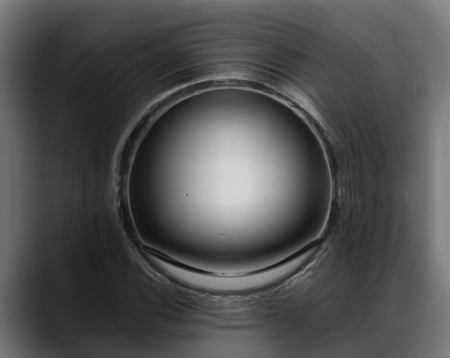 X0000088461116200705291525