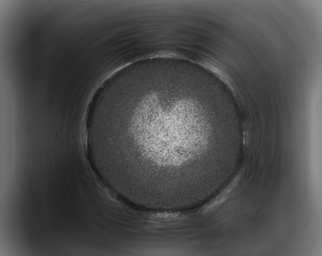 X0000088461117200705291525