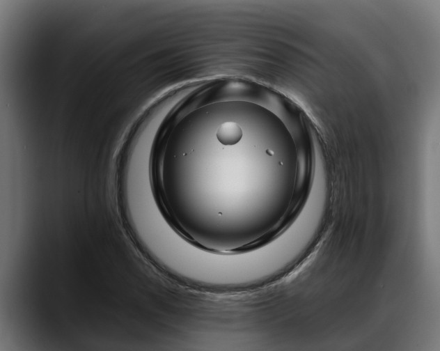 X0000088461118200705291525