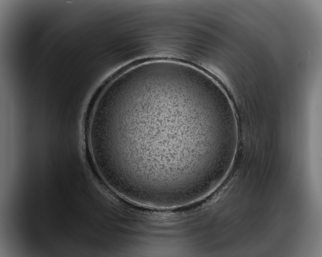 X0000088461120200705291525