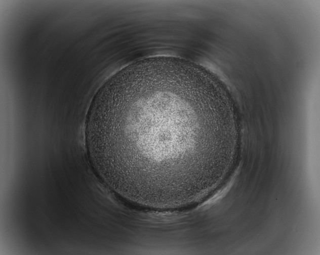 X0000088461121200705291525