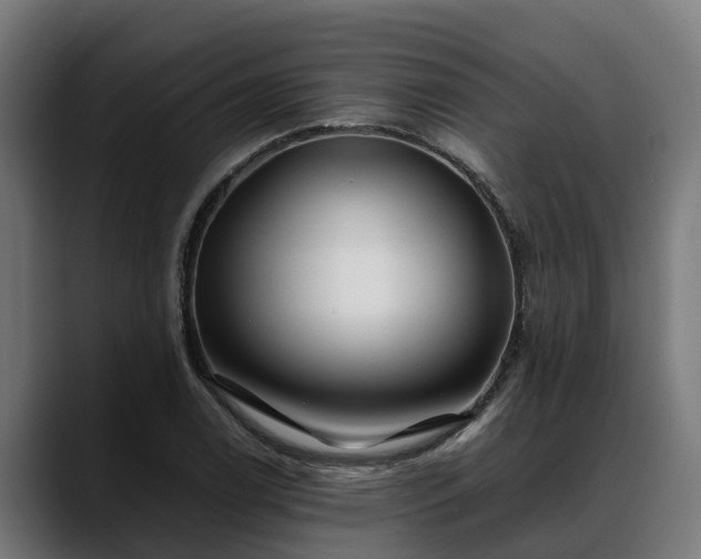 X0000088461122200705291525