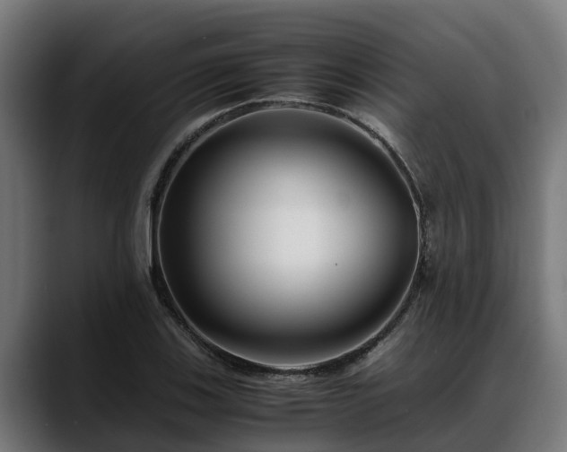 X0000088461123200705291525