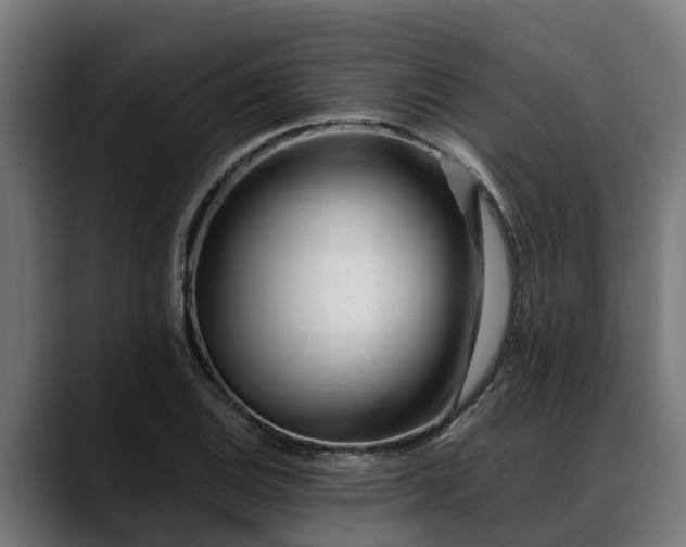 X0000088461124200705291525